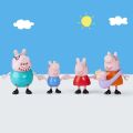 G0506 Peppa Pig ve Ailesi 5li Figür Seti +3 yaş