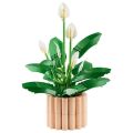 11504 Lego Botanicals Barış Çiçeği - Pace Lily 474 parça +18 yaş