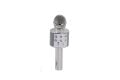 EMR-101 KUTULU KARAOKE MİKROFON