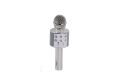 EMR-101 KUTULU KARAOKE MİKROFON
