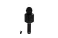 EMR-101 KUTULU KARAOKE MİKROFON