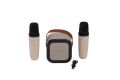 EMR-102 KUTULU 2Lİ KARAOKE MİKROFON