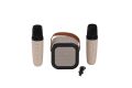 EMR-102 KUTULU 2Lİ KARAOKE MİKROFON