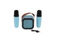 EMR-102 KUTULU 2Lİ KARAOKE MİKROFON