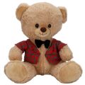 4810 SUN-JNH-PFF-SK PELUŞ AYI ELBİSELİ 32CM 2A