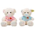 8311 SUN-JHN-PFF-SK PELUŞ AYI OTURAN LOVE TSHIRTLÜ 40 CM 2R