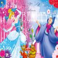CRL 113 CİNDİRELLA PUZZLE 200
