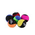2420-1  Plastik Deniz Topu 6 cm