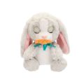 BAW02000 Baby Paws Sesli Tavşan 20 cm Peluş