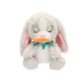 BAW02000 Baby Paws Sesli Tavşan 20 cm Peluş