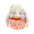 BAW02000 Baby Paws Sesli Tavşan 20 cm Peluş