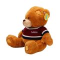 2001008 SUN-SABC-JNH-PFF-SK PELUŞ AYI OTURAN KAZAKLI 42 CM 2R